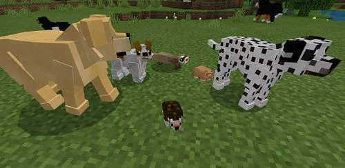 Pet Addon for Minecraft PE
