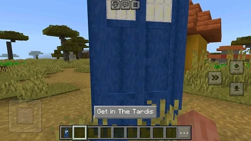 The Tardis